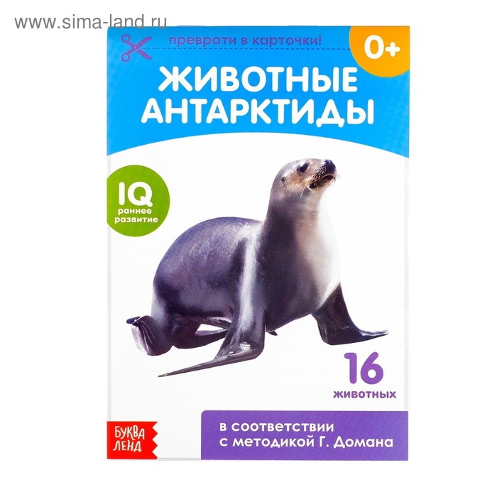 Обучающие карточки Г. Домана «Животные Антарктиды», на скрепке, 20 страниц - Фото 1