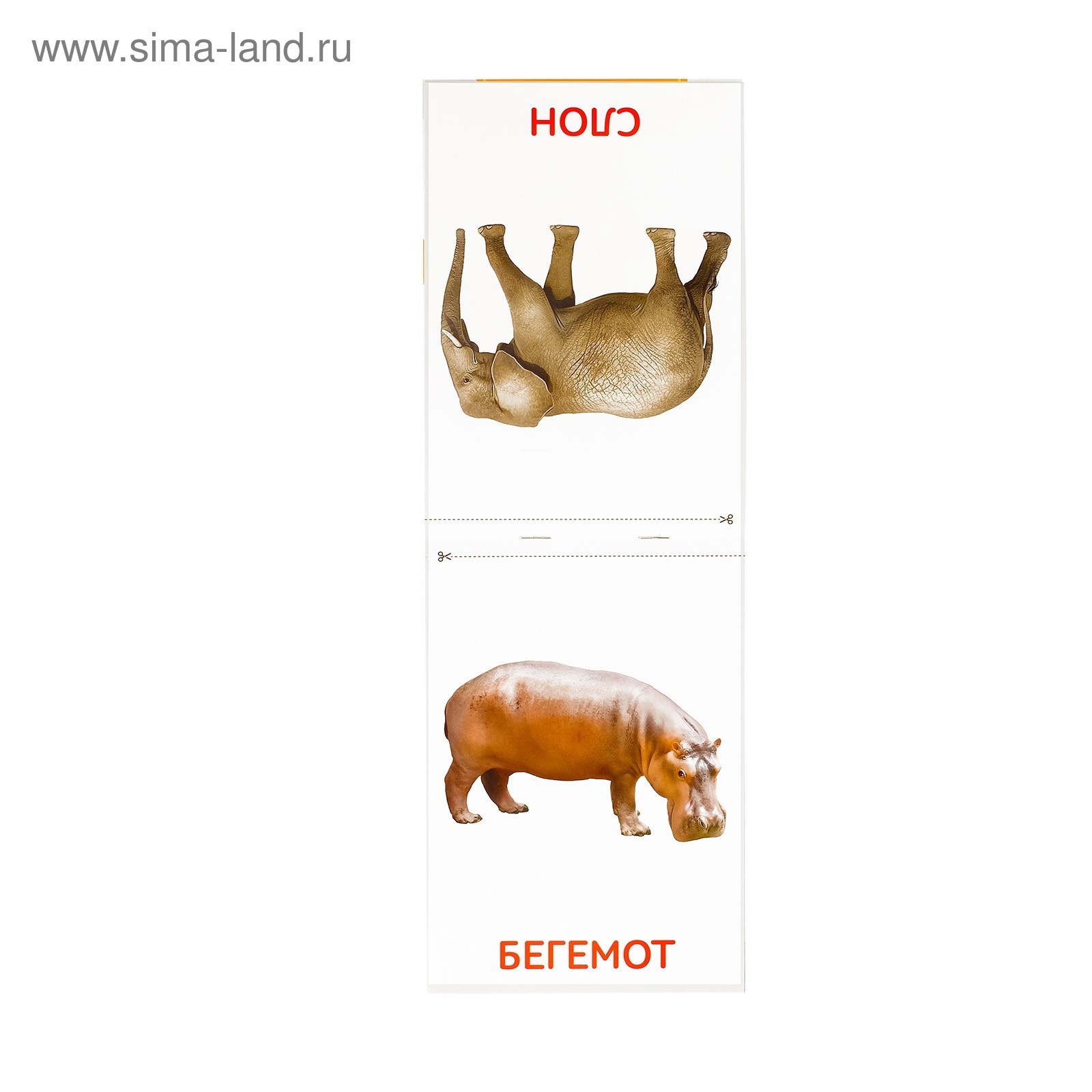 Книги набор "Карточки Домана. Животные материков", 6 шт. по 20 стр. (3445469) -