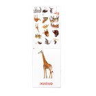 Обучающие карточки Г. Домана «Животные Африки», на скрепке, 20 страниц - Фото 3