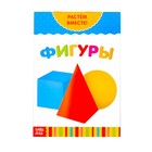 Серия развивающих книг «Фигуры. Растём вместе», 20 стр. - Фото 1