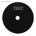 Алмазный гибкий шлифовальный круг ТУНДРА "Черепашка", для сухой шлифовки, 100 мм, № 10000 - фото 8392681