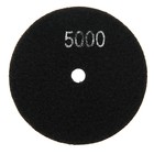 Алмазный гибкий шлифовальный круг ТУНДРА "Черепашка", для сухой шлифовки, 100 мм, № 5000 - фото 8392686