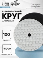 Алмазный гибкий шлифовальный круг ТУНДРА «Черепашка», для сухой шлифовки, 100 мм, № 5000 - Фото 1