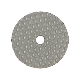 Алмазный гибкий шлифовальный круг ТУНДРА 'Черепашка', для сухой шлифовки, 100 мм, № 3000