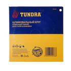 Алмазный гибкий шлифовальный круг ТУНДРА «Черепашка», для сухой шлифовки, 100 мм, № 3000 - Фото 7