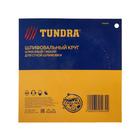 Алмазный гибкий шлифовальный круг ТУНДРА «Черепашка», для сухой шлифовки, 100 мм, № 400 - Фото 7