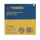 Алмазный гибкий шлифовальный круг ТУНДРА «Черепашка», для сухой шлифовки, 100 мм, № 200 - Фото 7