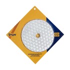 Алмазный гибкий шлифовальный круг ТУНДРА «Черепашка», для сухой шлифовки, 100 мм, № 100 - Фото 6