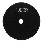 Алмазный гибкий шлифовальный круг ТУНДРА "Черепашка", для мокрой шлифовки, 100 мм, № 10000 - Фото 2