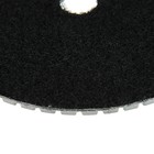 Алмазный гибкий шлифовальный круг ТУНДРА "Черепашка", для мокрой шлифовки, 100 мм, № 10000 - Фото 3