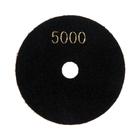 Алмазный гибкий шлифовальный круг ТУНДРА «Черепашка», для мокрой шлифовки, 100 мм, № 5000 - Фото 4