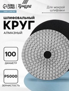 Алмазный гибкий шлифовальный круг ТУНДРА «Черепашка», для мокрой шлифовки, 100 мм, № 5000 - Фото 1