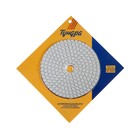 Алмазный гибкий шлифовальный круг ТУНДРА «Черепашка», для мокрой шлифовки, 100 мм, № 3000 - Фото 6