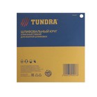 Алмазный гибкий шлифовальный круг ТУНДРА «Черепашка», для мокрой шлифовки, 100 мм, № 800 - Фото 7