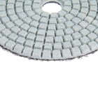 Алмазный гибкий шлифовальный круг ТУНДРА "Черепашка", для мокрой шлифовки, 100 мм, № 100 - фото 8392752