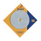 Алмазный гибкий шлифовальный круг ТУНДРА "Черепашка", для мокрой шлифовки, 100 мм, № 100 - фото 8392753