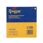 Алмазный гибкий шлифовальный круг ТУНДРА «Черепашка», для мокрой шлифовки, 100 мм, № 100 - Фото 7