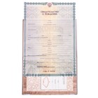 Папка для свидетельства о рождении «Бегемотик», А5 - Фото 2