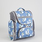 Рюкзак школьный "Лисы", 1 отдел на молнии, 3 наружных кармана, цвет серый - Фото 1