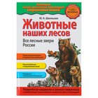 Популярная энциклопедия. Животные наших лесов. Все лесные звери России. Автор: Школьник Ю.К. - Фото 1