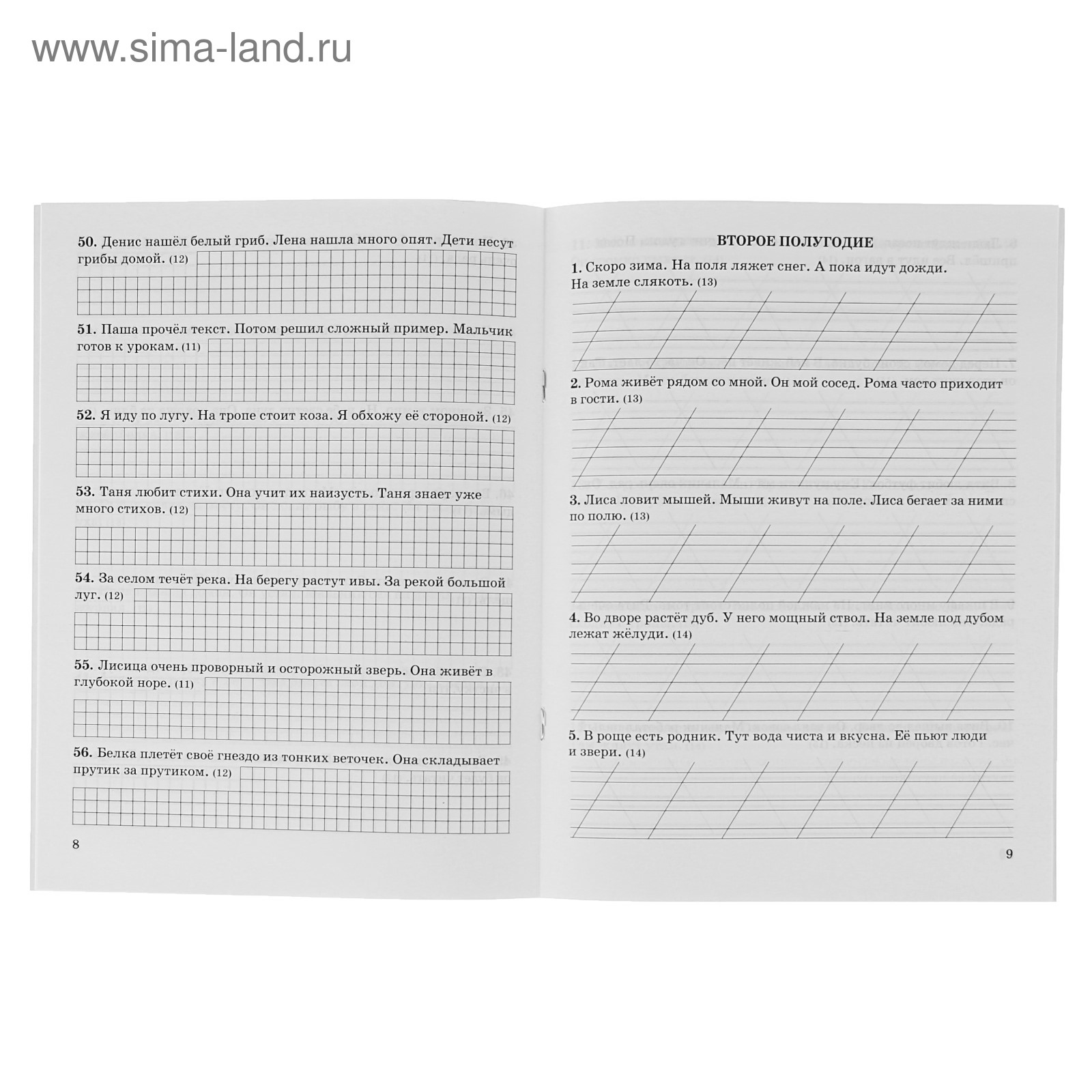 3000 заданий по русскому языку. 1 класс. Контрольное списывание. Узорова О.  В., Нефёдова Е. А. (3653860) - Купить по цене от 109.00 руб. | Интернет  магазин SIMA-LAND.RU