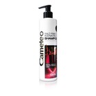 Шампунь кератиновый Cameleo «Защита цвета» для окрашенных волос, 250 мл - Фото 2