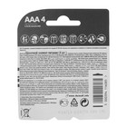 Батарейка алкалиновая Duracell Basic, AAA, LR03-4BL, 1.5В, блистер, 4 шт. - Фото 2