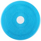 Диск здоровья «Стройная фигура», d=25 см, цвета МИКС - Фото 3