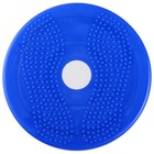 Диск здоровья «Стройная фигура», d=25 см, цвета МИКС - Фото 4