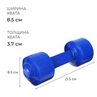 Гантели, 2 шт. по 1 кг - Фото 2