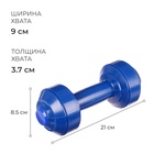 Гантель, 0,25 кг - Фото 2