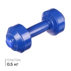 Гантель, 0,5 кг - Фото 1