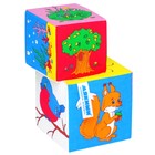 Развивающие кубики "Кто, где живёт?" - Фото 1