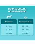 Сухой корм ONE для кошек, говядина с цельными злаками, 750 г - Фото 8