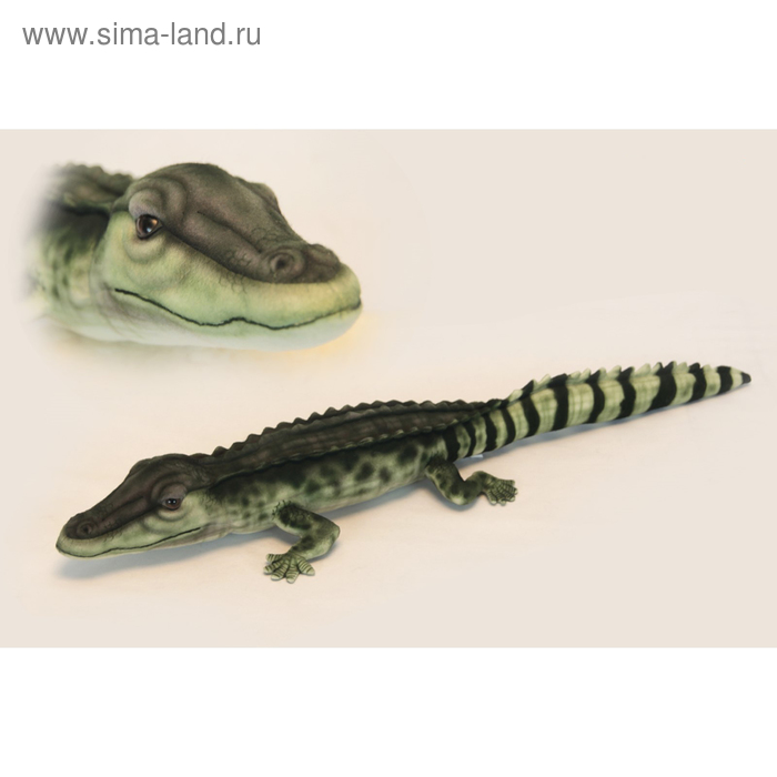 Мягкая игрушка «Крокодил Филиппинский», 72 см - Фото 1