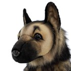 Мягкая игрушка «Щенок немецкой овчарки», 41 см - Фото 10