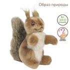 Мягкая игрушка "Белка", 16 см - Фото 1