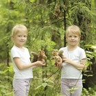 Мягкая игрушка "Белка", 16 см - Фото 2