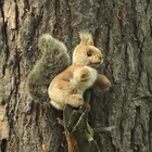 Мягкая игрушка "Белка", 16 см - Фото 4