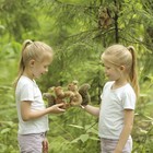 Мягкая игрушка "Белка", 16 см - Фото 7