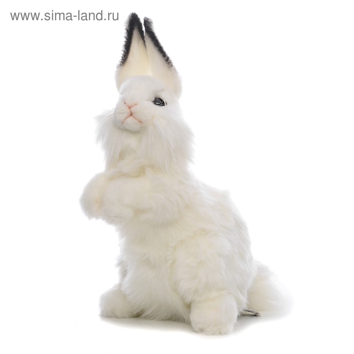 Мягкая игрушка «Белый кролик», 32 см