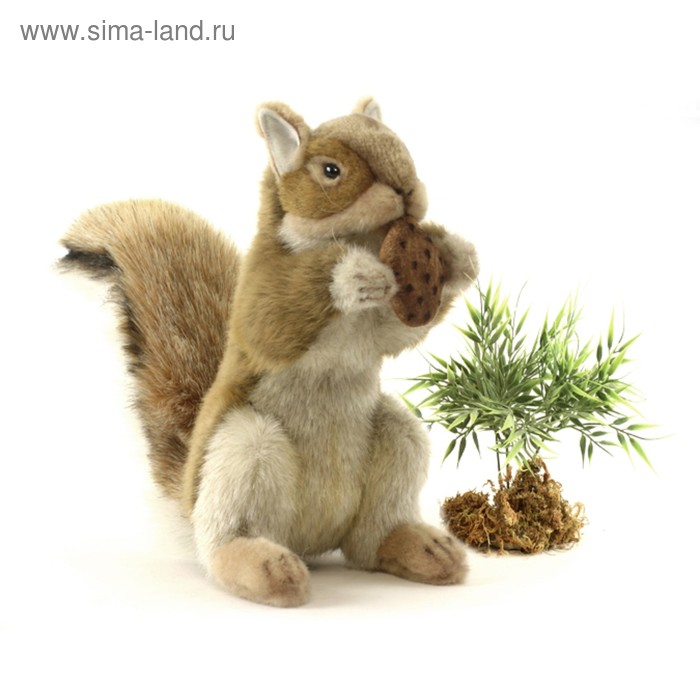 Мягкая игрушка «Рыжая белка с орехом», 22 см - Фото 1