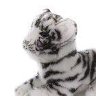 Мягкая игрушка «Детёныш белого тигра», 26 см - Фото 11