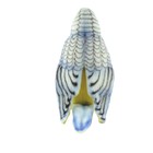 Мягкая игрушка "Попугай волнистый" голубой, 15 см - Фото 5