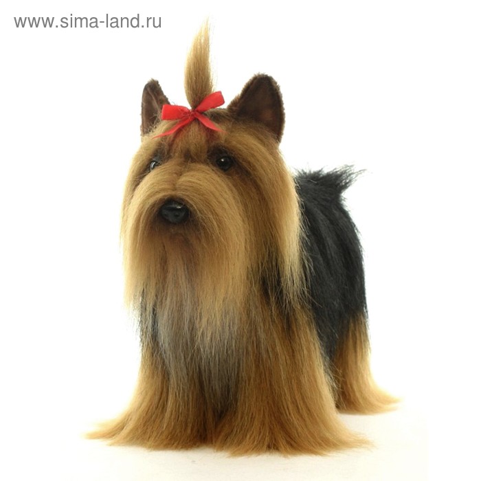 Мягкая игрушка «Йоркширский терьер», 36 см - Фото 1