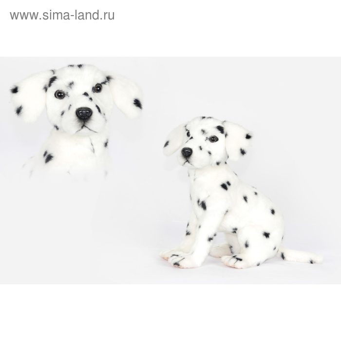 Мягкая игрушка «Далматинец», 30 см - Фото 1