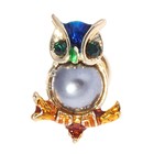 Брошь «Сова на ветке», цветная - Фото 1