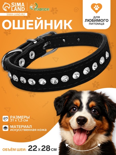 Ошейник «Бархат и стразы», 31×1.3/2 см, ОШ 22-28 см, чёрный