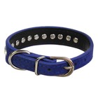 Ошейник "Бархат и стразы", 31 х 1,3/2 см, ОШ 22-28 см, синий - Фото 2