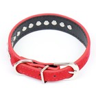 Ошейник «Бархат и стразы», 31×1.3/2 см, ОШ 22-28 см, красный - Фото 2